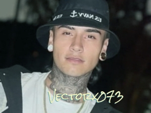 Vectorx073