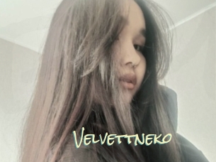 Velvettneko
