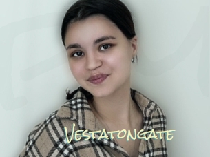 Vestatongate