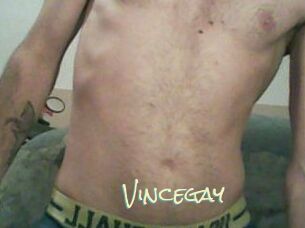 Vincegay