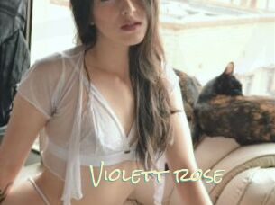 Violett_rose