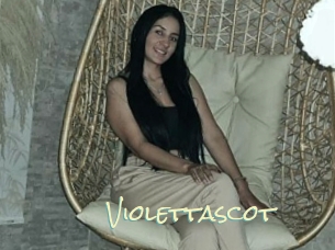 Violettascot