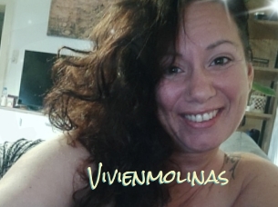 Vivienmolinas