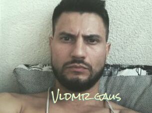 Vldmr_gaus