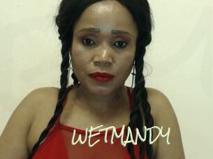 WETMANDY