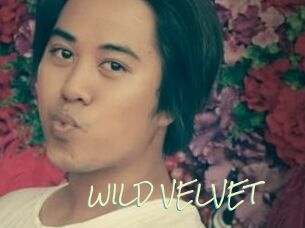 WILD_VELVET