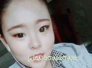 Wangjingjing