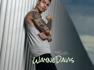 WayneDavis