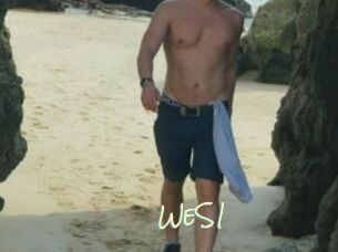 WeS1