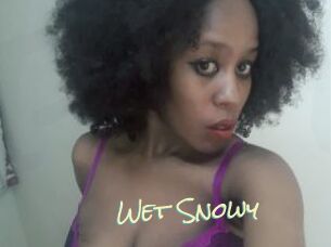 Wet_Snowy
