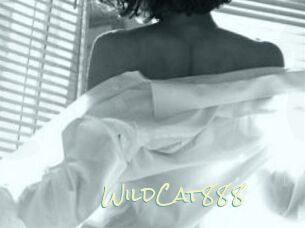WildCat888