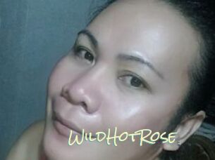 WildHotRose