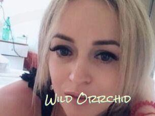 Wild_Orrchid