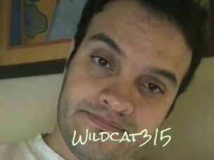 Wildcat315