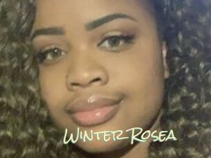 Winter_Rosea