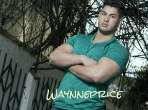 Waynneprice