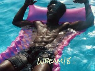 Wbeam18