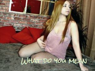 What_do_you_mean
