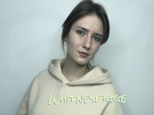 Whitneyfigge