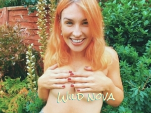 Wild_nova