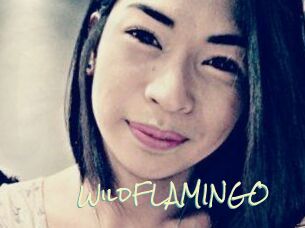 WildFLAMINGO