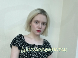 Wildagleghorn
