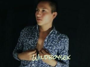 Wildboysex