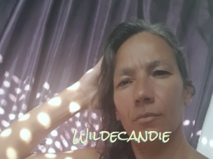 Wildecandie