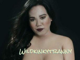 Wildkinkytranny