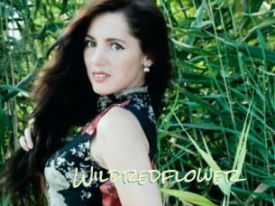 Wildredflower