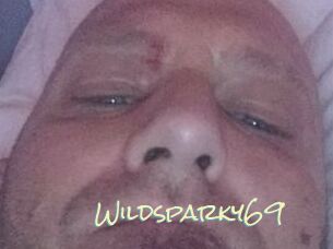 Wildsparky69