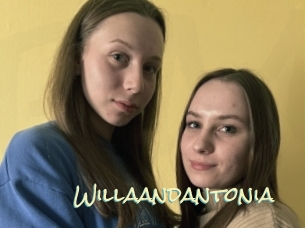 Willaandantonia
