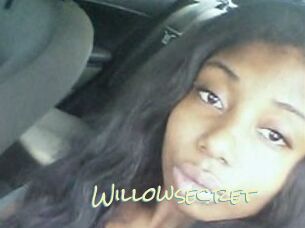 Willow_secret