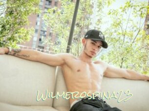 Wilmerospina23