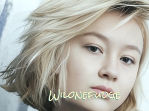 Wilonefudge