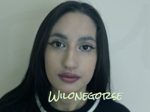 Wilonegorse