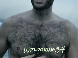 Wplooking37