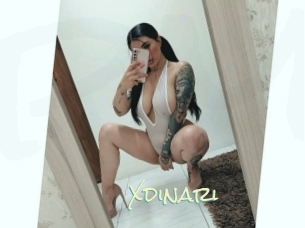 Xdinari