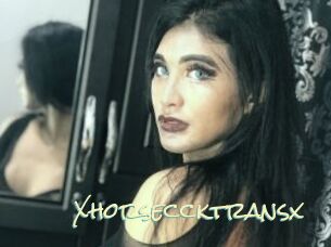 Xhorseccktransx