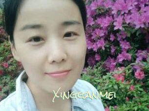 Xingganmei