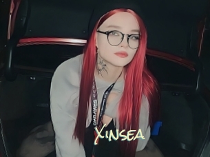 xinsea Porn Monkey Cash