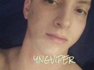 YNGVIPER