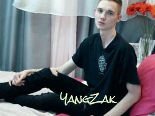 YangZak