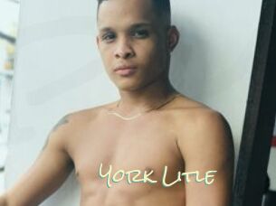 York_Litle Porn Monkey Cash