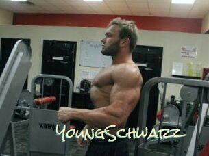 YoungSchwarz