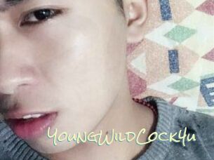 YoungWildCock4u