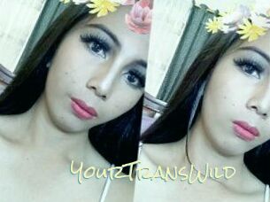 YourTransWild