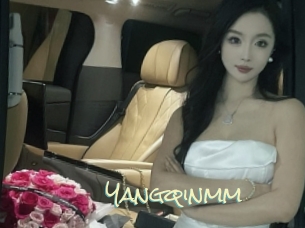 Yangqinmm