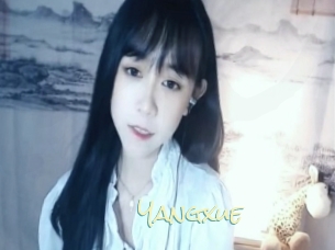 Yangxue