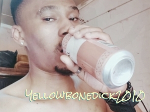 Yellowbonedick2010